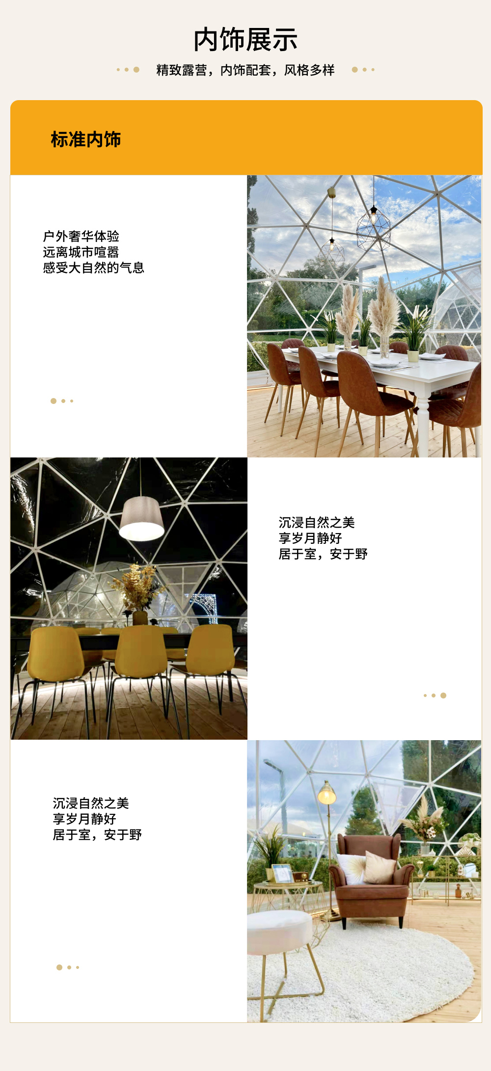 球13